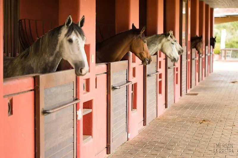 乡村民宿 Campos do Jordão Casa No Haras Polana酒店